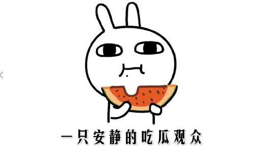 吃瓜免费事件  第2张